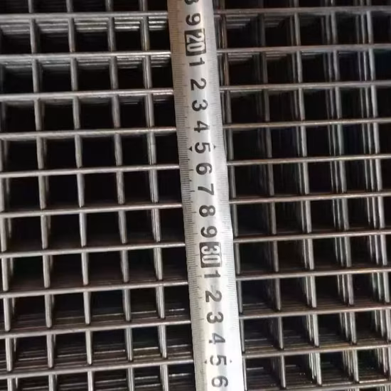 Panel de malla de alambre soldado con autógena de acero inoxidable de malla de alambre de hierro negro